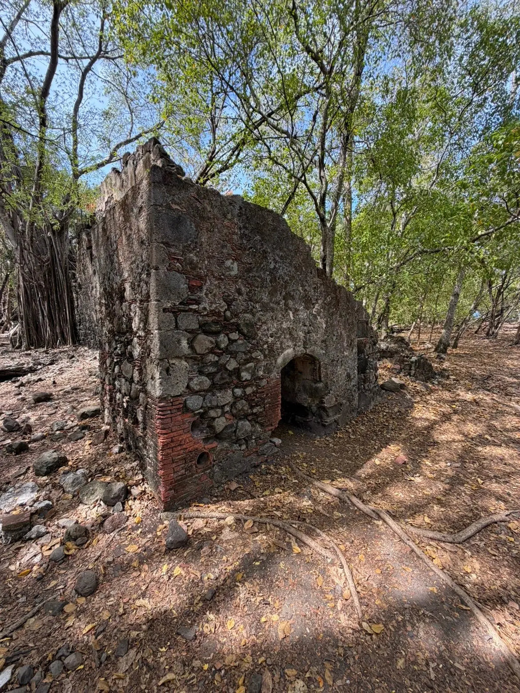 Visite des îlets (Ilets du FRANÇOIS / ROBERT)  Perle des Îles Excursions