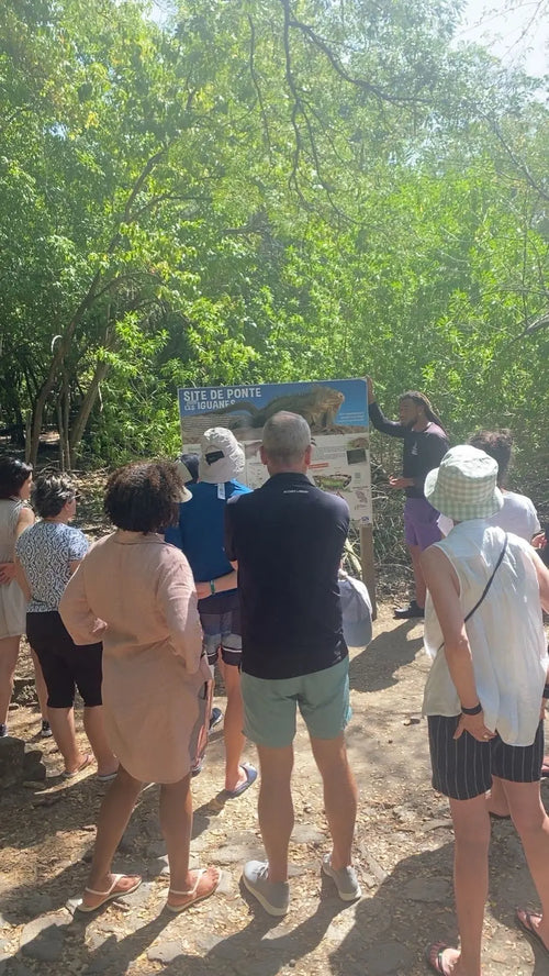 Visite des îlets (Ilets du FRANÇOIS / ROBERT)  Perle des Îles Excursions